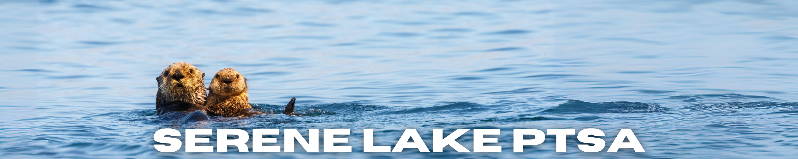 Serene Lake PTSA